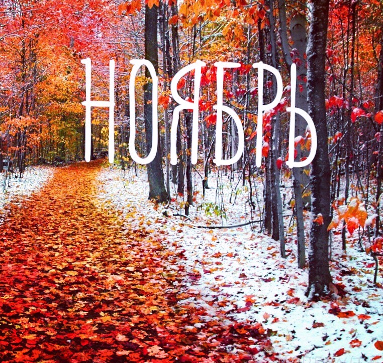 Фото к новости.