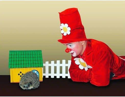 Фото к новости.